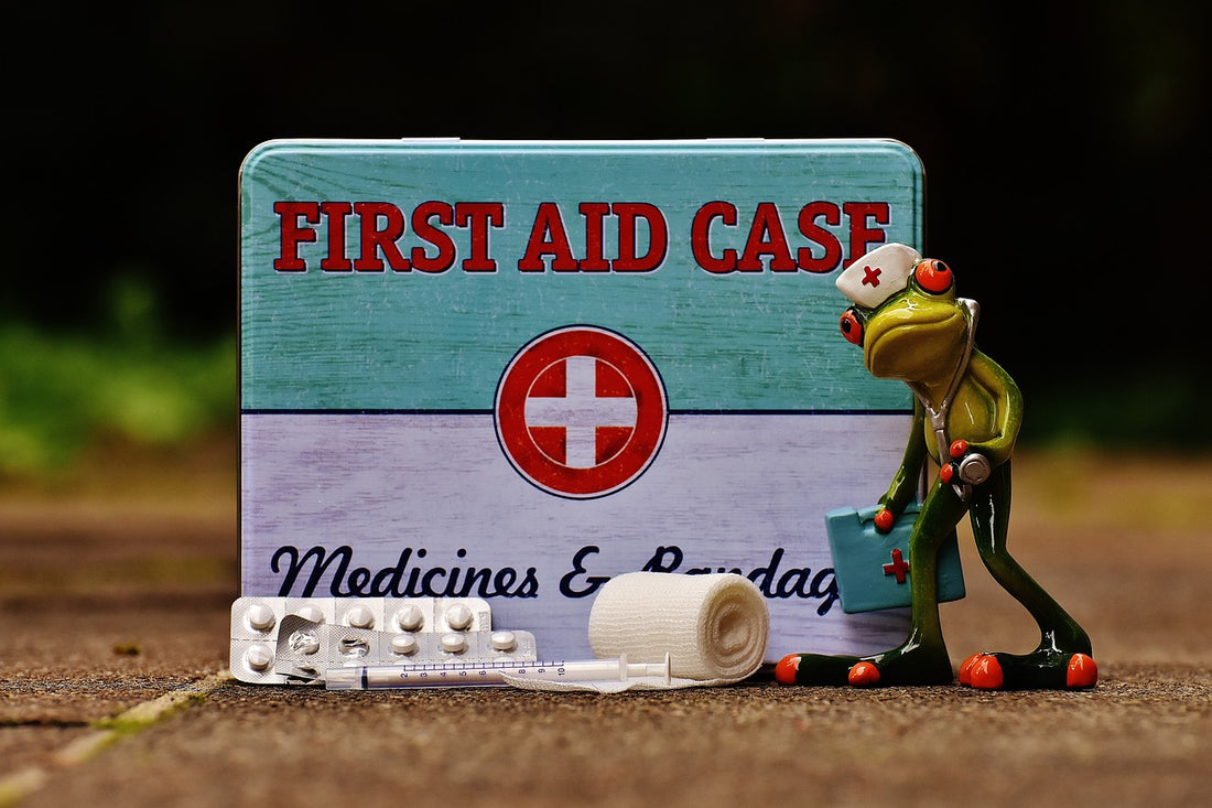 Professional Guide to Creating a Comprehensive Medical Kit